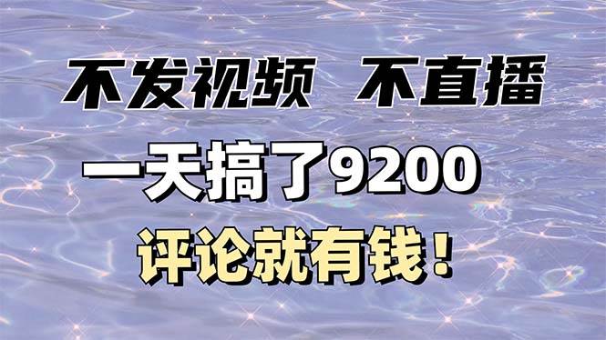 （14018期）不发作品不直播，评论就有钱，一条最高10块，一天搞了9200-凌秋网创