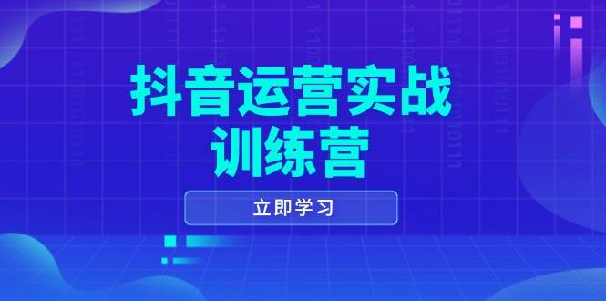 （14057期）抖音运营实战训练营，0-1打造短视频爆款，涵盖拍摄剪辑、运营推广等全过程-凌秋网创