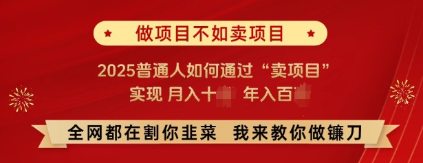 必看，做项目不如卖项目，2025普通人如何通过“卖项目”实现月入十个，年入百个-凌秋网创