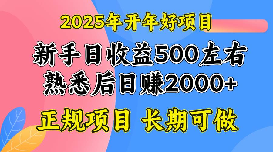 （14076期）2025开年好项目，单号日收益2000左右-凌秋网创