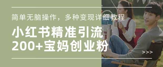 小红书混剪日引200+宝妈创业粉，简单无脑操作，多种变现详细教程-凌秋网创