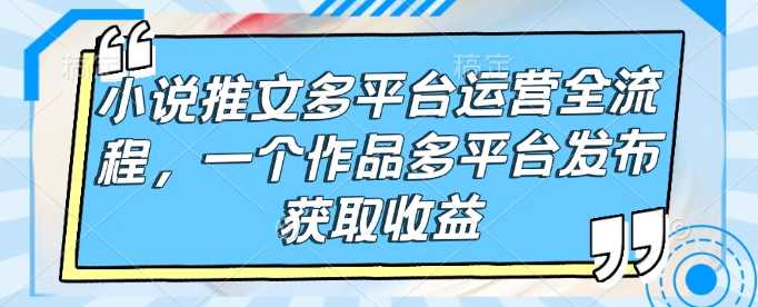 小说推文多平台运营全流程，一个作品多平台发布获取收益-凌秋网创