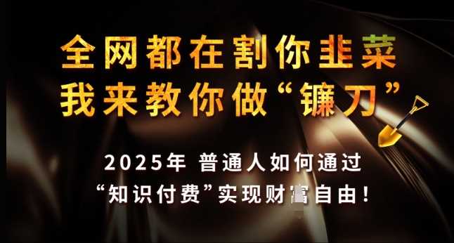 全网都在割你韭菜，我来教你做镰刀，2025年普通人如何通过 知识付费 实现财F自由【揭秘】-凌秋网创