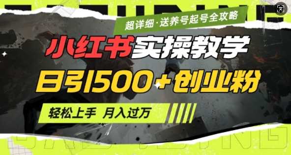 2月小红书最新日引500+创业粉实操教学【超详细】小白轻松上手，月入1W+，附小红书养号起号SOP-凌秋网创