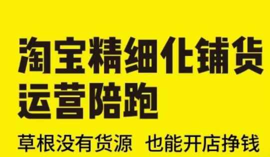 淘宝精细化铺货运营陪跑(部分更新至2025)，草根没有货源 也能开店挣钱-凌秋网创