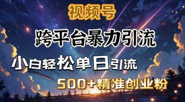 跨平台暴力引流，私域完美闭环，日引500+精准创业粉-凌秋网创