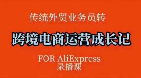 跨境电商速卖通运营课，​运营方法论+后台实操，逻辑清晰-凌秋网创