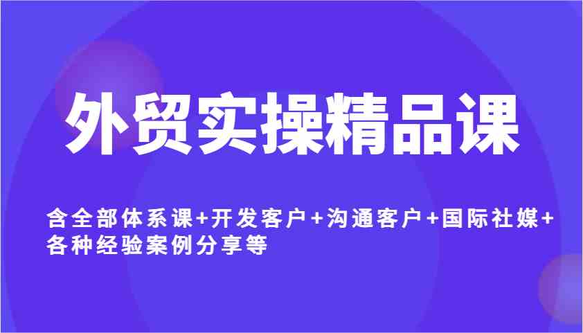 外贸实操精品课，含全部体系课+开发客户+沟通客户+国际社媒+各种经验案例分享等-凌秋网创