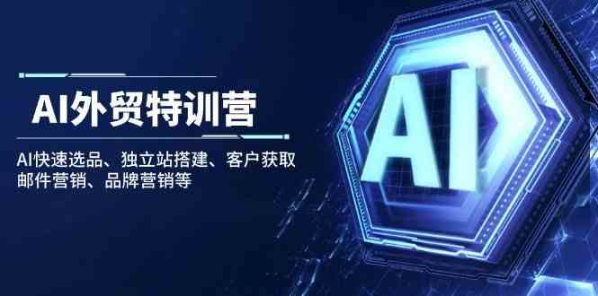AI外贸特训营：AI快速选品、独立站搭建、客户获取、邮件营销、品牌营销等-凌秋网创