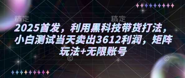 2025首发，利用黑科技带货打法，小白测试当天卖出3612利润，矩阵玩法+无限账号【揭秘】-凌秋网创