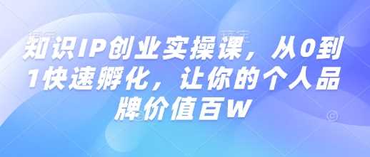 知识IP创业实操课，从0到1快速孵化，让你的个人品牌价值百W-凌秋网创