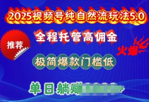 2025视频号纯自然流玩法5.0，全程托管高佣金，极简爆款门槛低，单日收益多张【揭秘】-凌秋网创