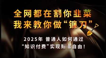 知识付费如何做到月入过W+，2025我来教你做“镰刀”【揭秘】-凌秋网创