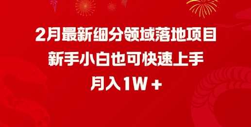 2月最新细分领域落地项目，新手小白也可快速上手，月入1W-凌秋网创