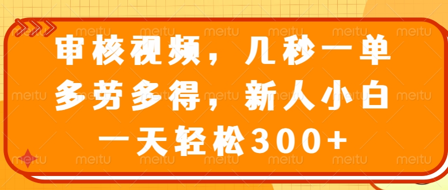 （14294期）审核视频，几秒一单，多劳多得，新人小白一天轻松300+-凌秋网创