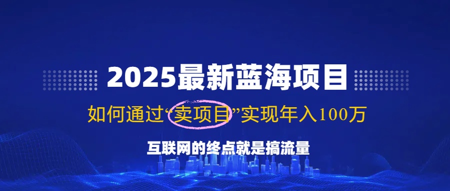 （14305期）2025最新蓝海项目，零门槛轻松复制，月入10万+，新手也能操作！-凌秋网创