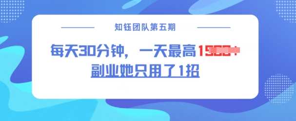 副业她只用了1招，每天30分钟，无脑二创，一天最高1.5k-凌秋网创