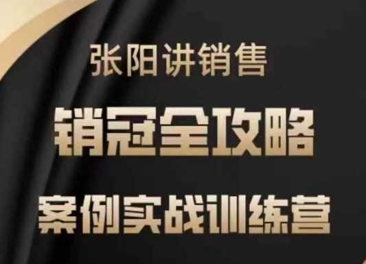 张阳讲销售实战训练营，​案例实战训练，销冠全攻略-凌秋网创