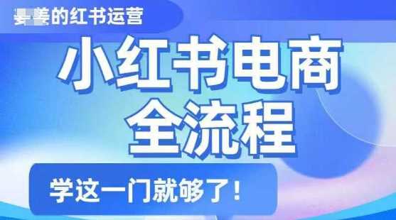 小红书电商全流程，精简易懂，从入门到精通，学这一门就够了-凌秋网创