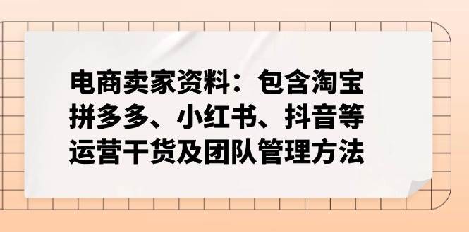 （14354期）电商卖家资料：包含淘宝、拼多多、小红书、抖音等运营干货及团队管理方法-凌秋网创