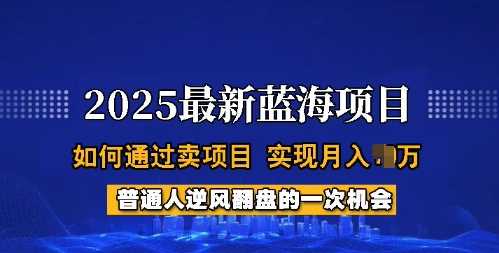 2025蓝海项目，普通人如何通过卖项目，实现月入过W，全过程【揭秘】-凌秋网创