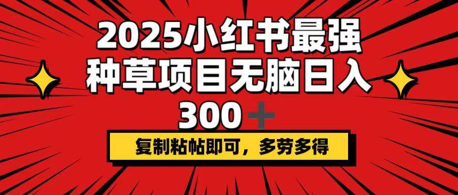 （14375期）2025小红书最强种草项目，无脑日入300+，复制粘帖即可，多劳多得-凌秋网创