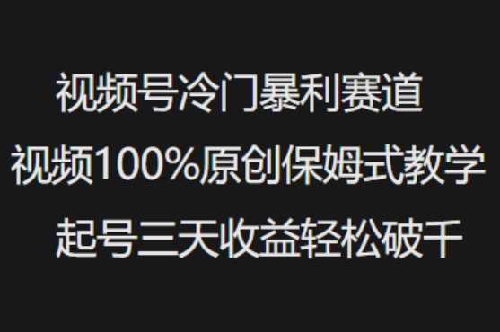 视频号冷门暴利赛道视频100%原创保姆式教学起号三天收益轻松破千-凌秋网创