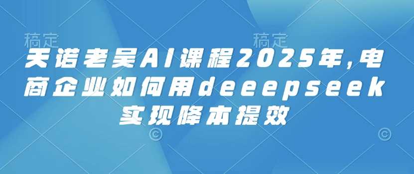 天诺老吴AI课程2025年，电商企业如何用deeepseek实现降本提效-凌秋网创