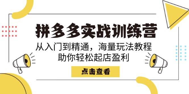 （14392期）拼多多实战训练营，从入门到精通，海量玩法教程，助你轻松起店盈利-凌秋网创
