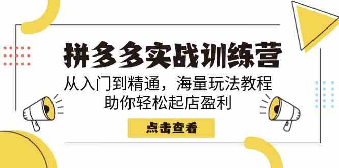 拼多多实战训练营，从入门到精通，海量玩法教程，助你轻松起店盈利-凌秋网创