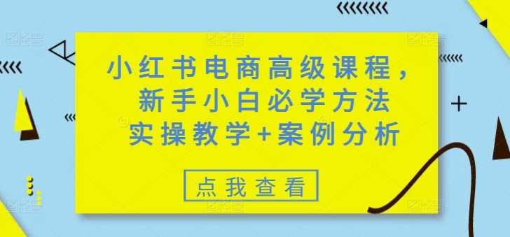小红书电商高级课程，新手小白必学方法，实操教学+案例分析-凌秋网创