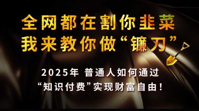 全网都在割你韭菜，我来教你做镰刀,2025普通人如何通过知识付费，实现财F自由【揭秘】-凌秋网创