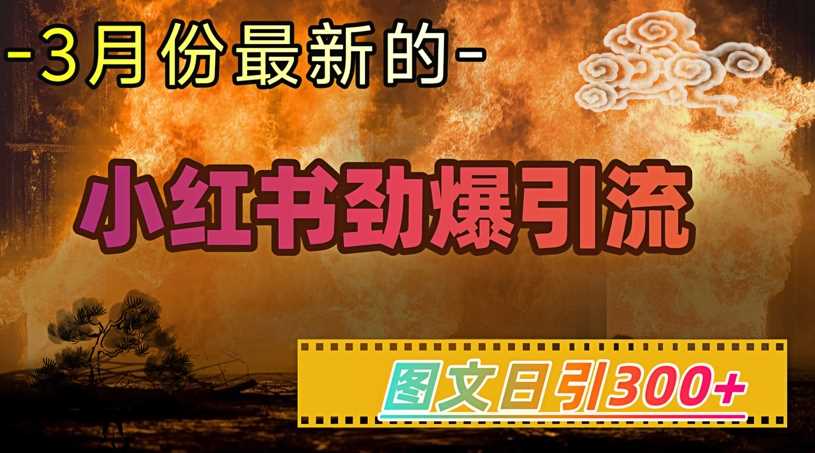 小红书超劲爆引流手段，图文日引300+轻松变现1W-凌秋网创