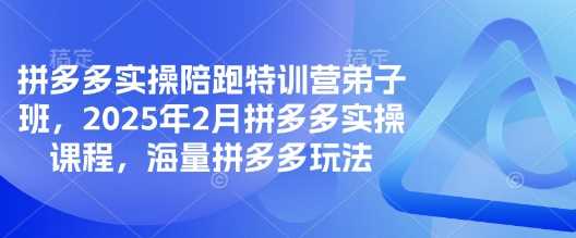 拼多多实操陪跑特训营弟子班，2025年2月拼多多实操课程，海量拼多多玩法-凌秋网创