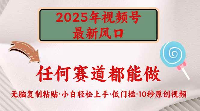 （14453期）2025年视频号新风口，低门槛只需要无脑执行-凌秋网创