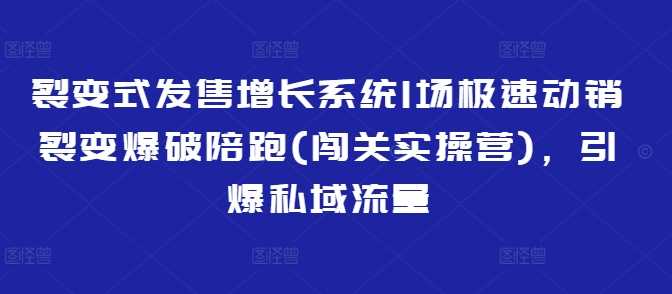 裂变式发售增长系统1场极速动销裂变爆破陪跑(闯关实操营)，引爆私域流量-凌秋网创