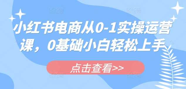 小红书电商从0-1实操运营课，0基础小白轻松上手-凌秋网创