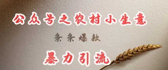 deepseek写农村小项目，条条爆款，暴力引流-凌秋网创