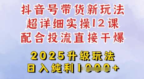 2025全新升级抖音带货玩法，一天纯利四位数，从剪辑到选品再到发布投流，超详细玩法揭秘-凌秋网创