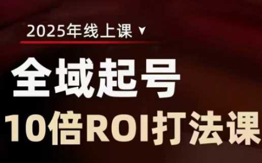 2025全域起号10倍ROI打法课，助你提升直播间的投资回报率-凌秋网创