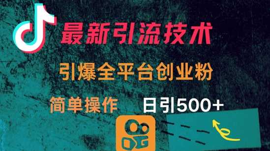最新引流方法，引爆全平台的一个创业粉，简单操作日引300+-凌秋网创