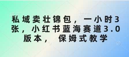 私域卖壮锦包，一小时3张，小红书蓝海赛道3.0版本， 保姆式教学-凌秋网创