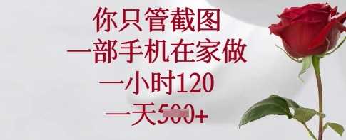 你只管截图，一部手机在家做，一小时120.一天5张【揭秘】-凌秋网创