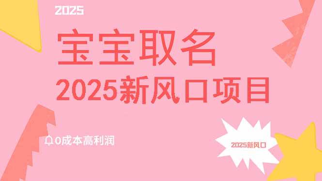 （14593期）2025新风口项目宝宝取名，0成本高利润，附保姆级教程，月入过万不是梦-凌秋网创