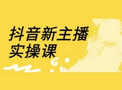 抖音新主播实操课，直播间流量运营线上实操课(18节)-凌秋网创