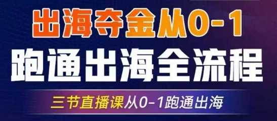 2025出海夺金从0-1跑通出海全流程，三节直播课从0-1跑通出海，教你用AI跑通全流程-凌秋网创