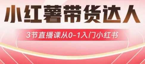 小红薯达人带货启航计划，3节直播课从0-1入门小红书-凌秋网创