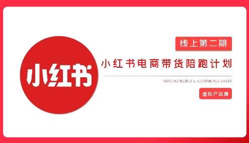 2025小红书虚拟电商实战课，从0到1打造无货源店铺，AI+爆款笔记轻松变现-凌秋网创