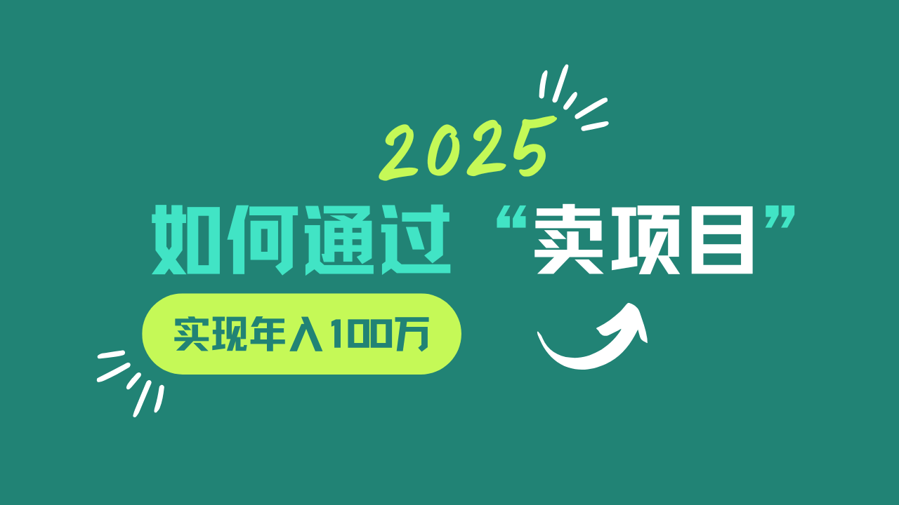 2025年如何通过“卖项目”实现年入100w-凌秋网创
