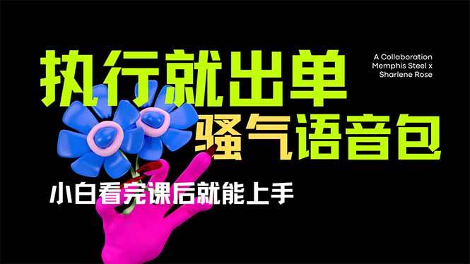 （14170期）爆火全网的开车导航骚气语音包,只要执行就出单，小白看完课程就能实操…-凌秋网创